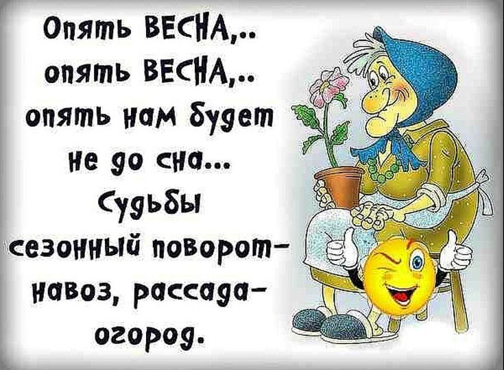 анекдоты про весеннее настроение