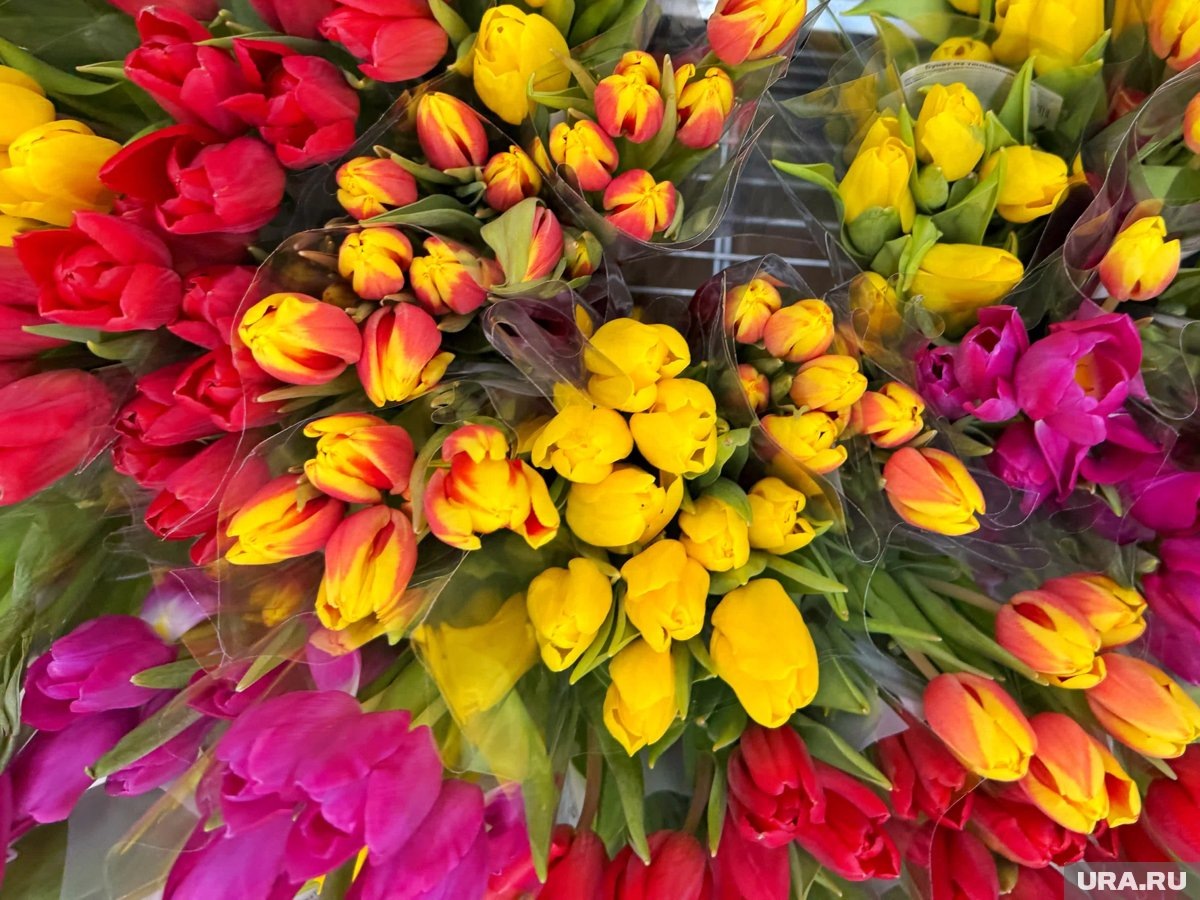     У каждой женщины есть своя заветная мечта, но, как оказалось, некоторые из них перекликаются