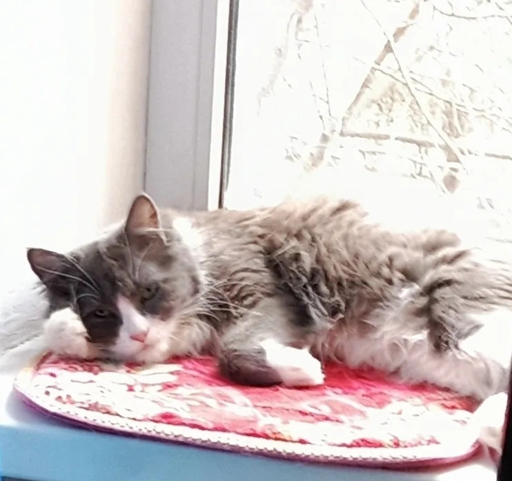 Фото автора. 