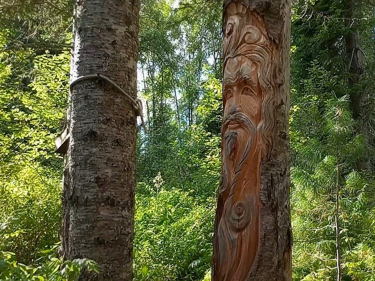 По пути к водопаду. 