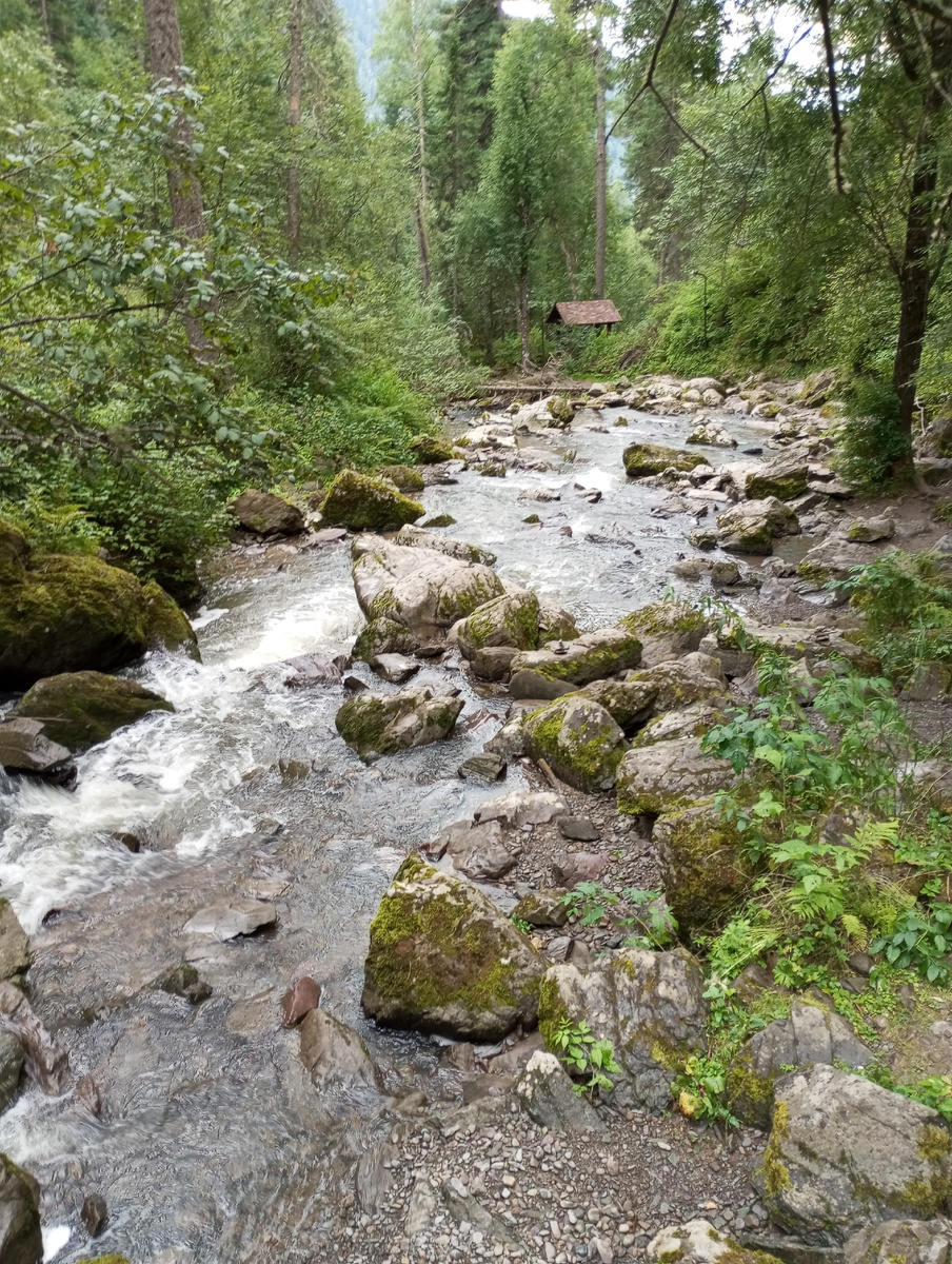 Третья речка