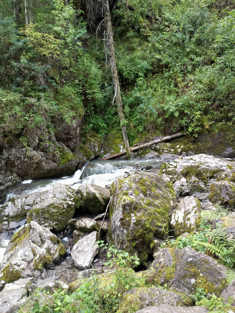 Третья речка