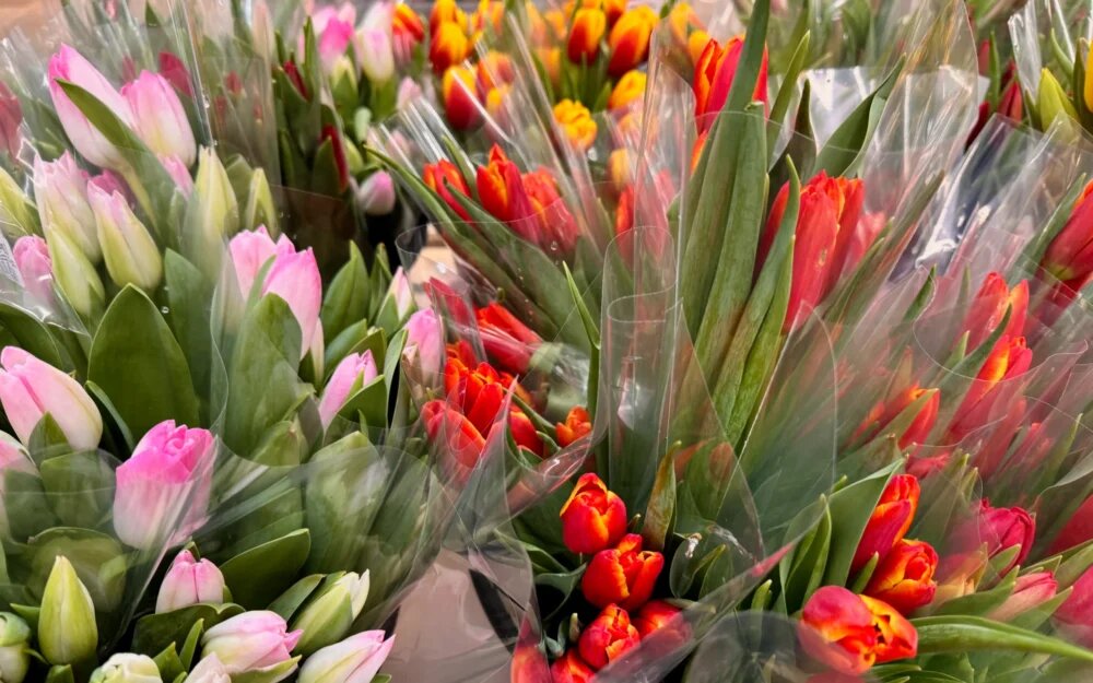    Фото: «Брянские новости»