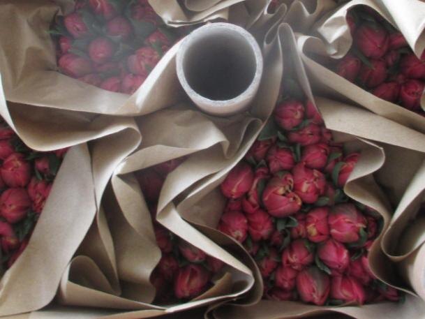 Владимир Криницын, предоставлены пресс-службой Уральского межрегионального управления Россельхознадзора