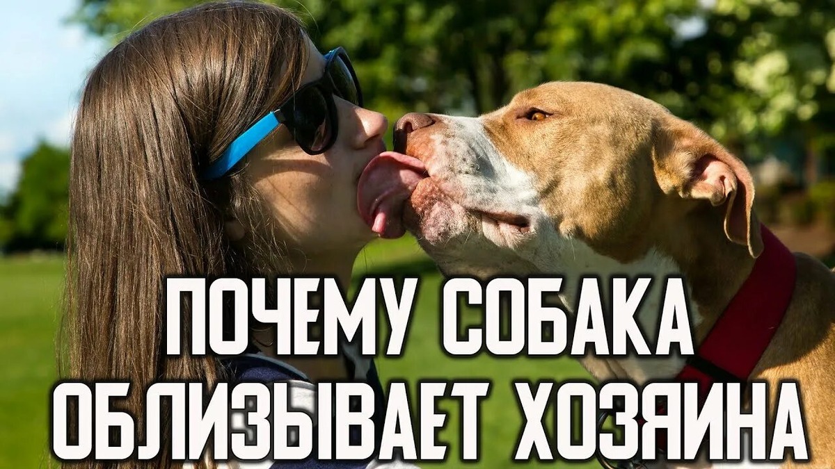 Фотография из интернета