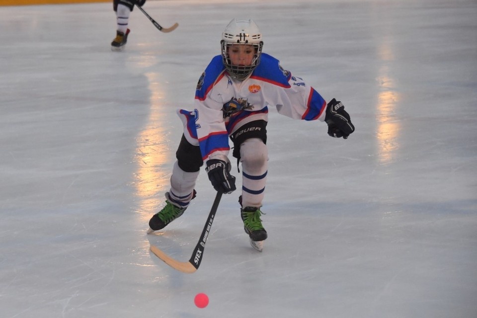    В Иркутске пройдет финал Высшей лиги по хоккею с мячом. Владимир ВЕЛЕНГУРИН
