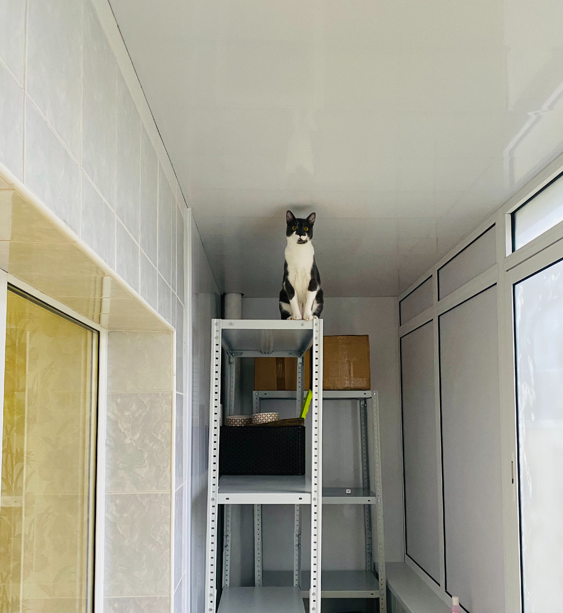 И не таких высот можно добиться, когда есть желание.