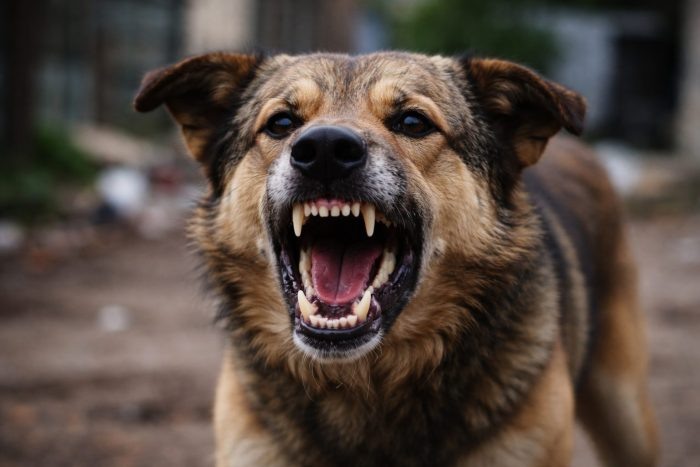 Изображение сгенерировано нейросетью.