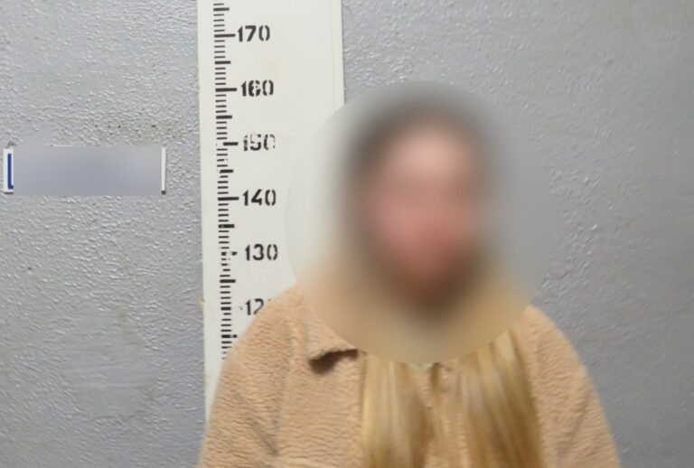    Жительница Самары арендовала у оренбуржца приставку и сдала её в ломбард Оренбуржье