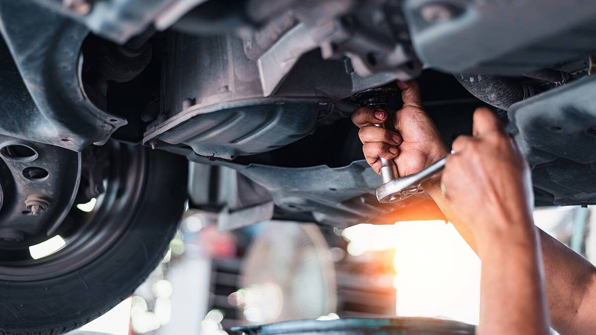    Фото: Shutterstock