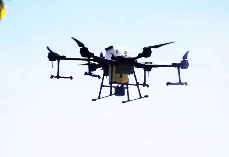 Картинка из интернета