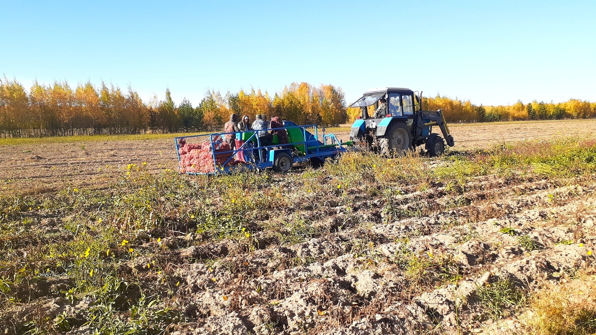    Госсовет возьмет под контроль восстановление агропотенциала регионов