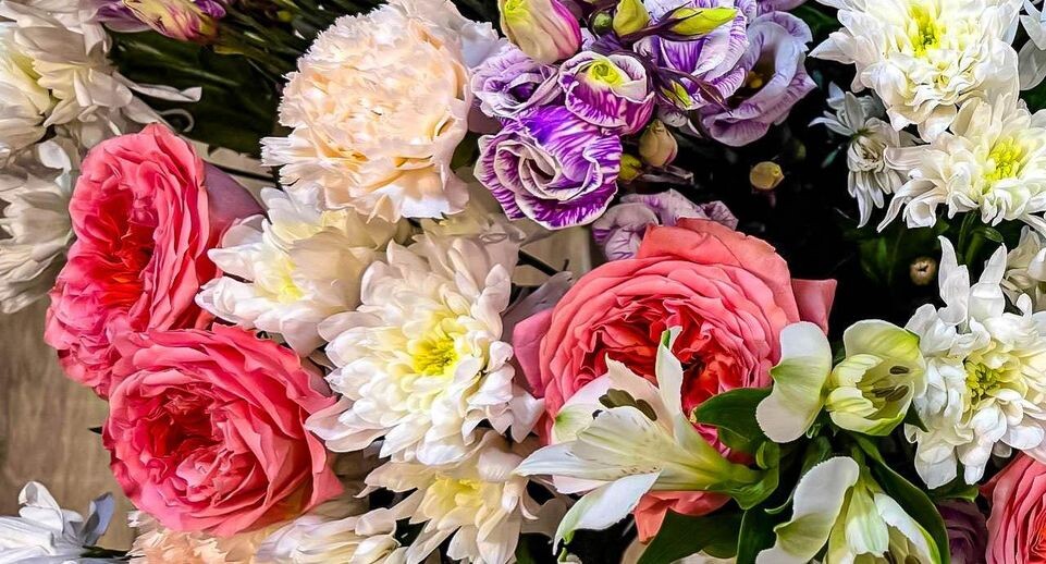    REGIONS/Дарина Левкина