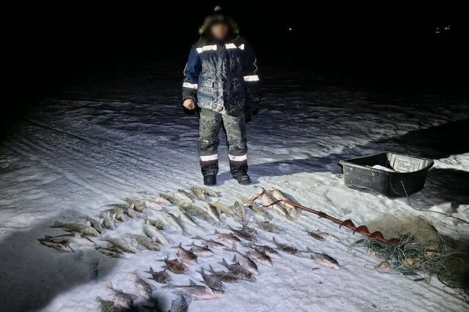    Фото: Транспортная полиция Сибири \ Телеграм