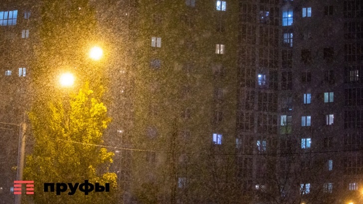    Фото: Пруфы