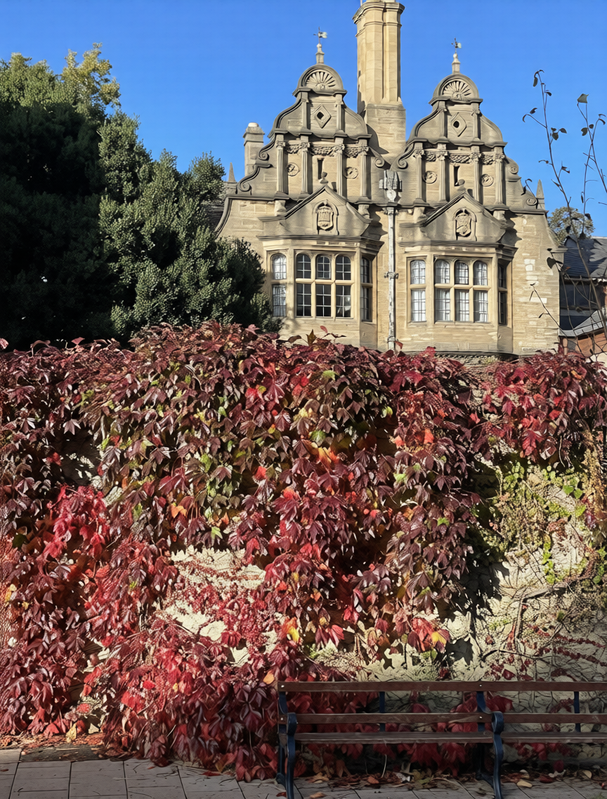 Колдовство и ведовство