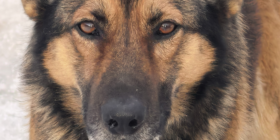 ЧП! Больше сотни жизней в настоящем тупике!