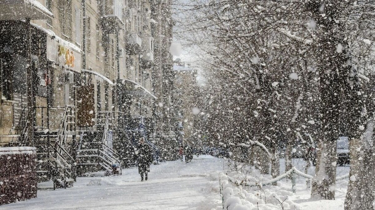   Юлия Литвиненко / mkset.ru