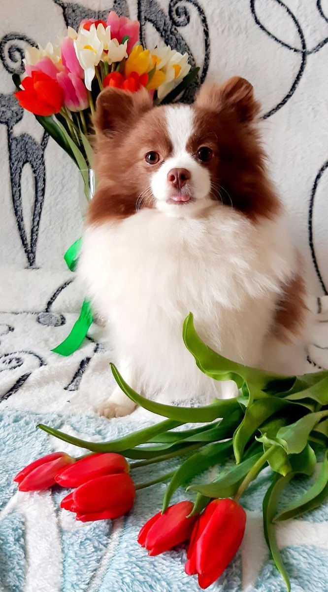 Улыбок,настроения!