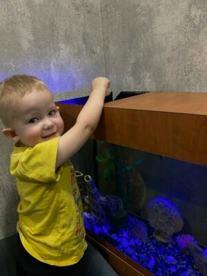 Листайте вправо, чтобы увидеть больше изображений