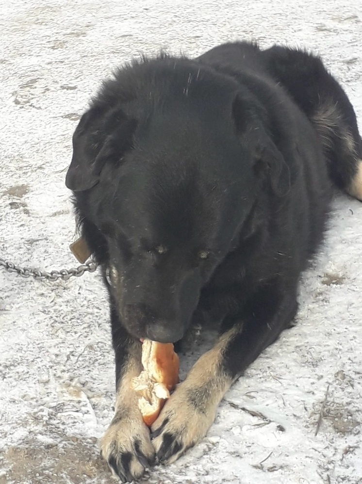     Фото: "МК в Калуге"