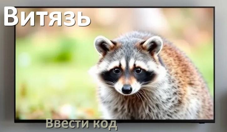 
Как ввести код на телевизоре Витязь пультом