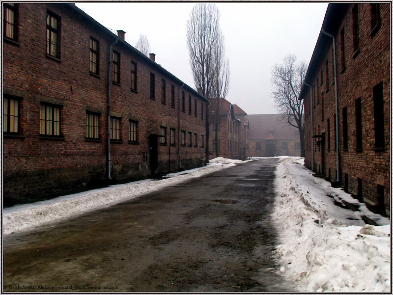 Фото из свободных источников.