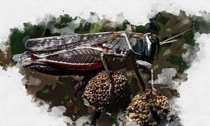 Изображение от wirestock на Freepik  📷
