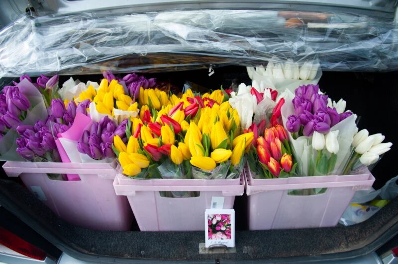 Листайте вправо, чтобы увидеть больше изображений