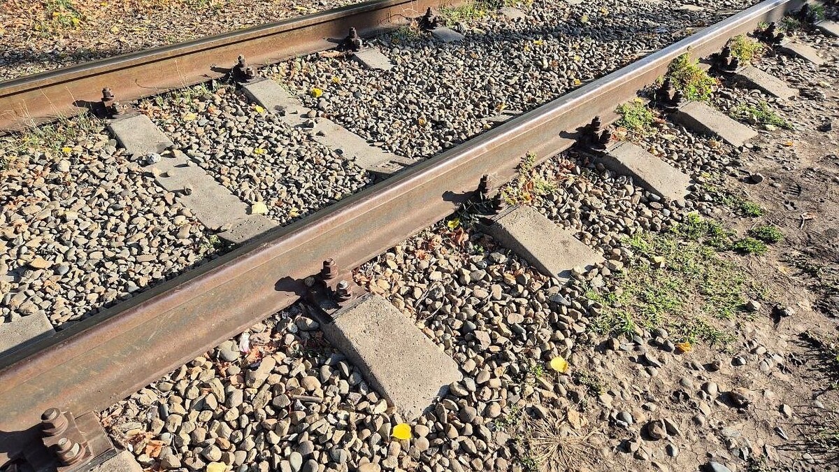    Фото: телеканал «Краснодар»