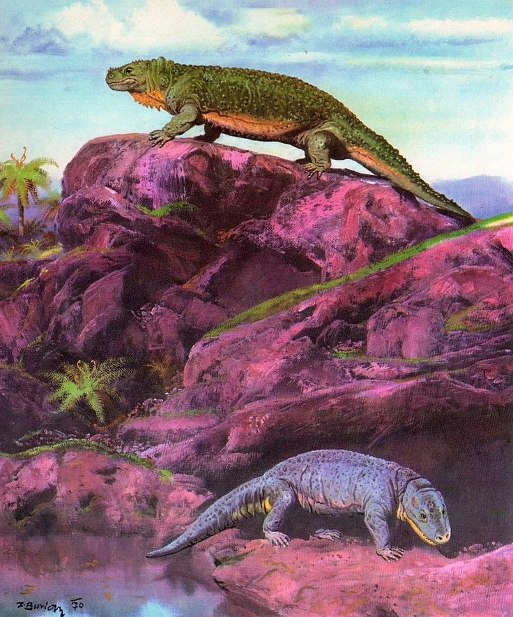 Работа Зденека Буриана, изображающая ранних амниот: наверху - диадект, внизу - сеймурия