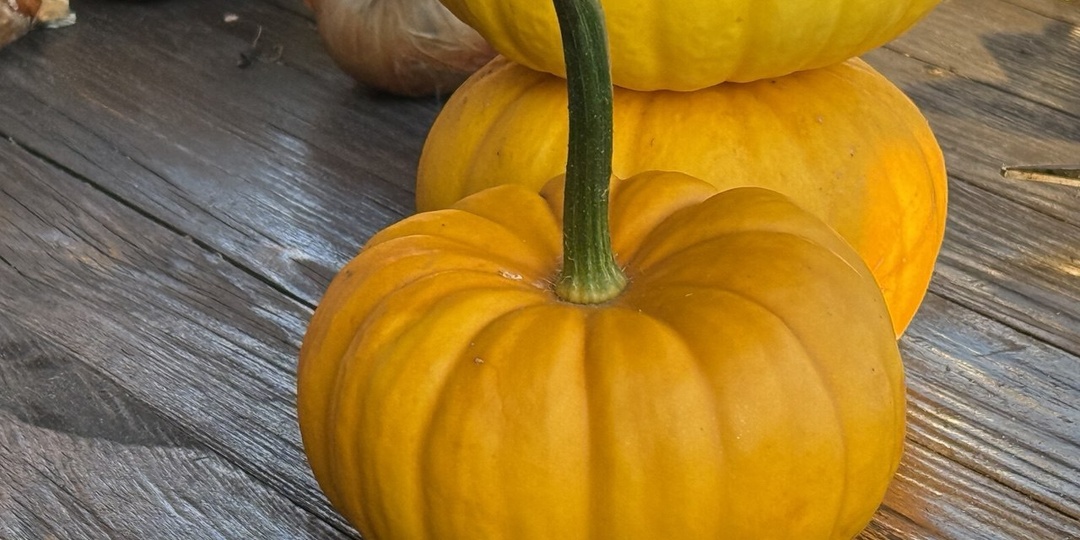 Десерт из тыквы: быстро и легко: почти Рахат-лукум