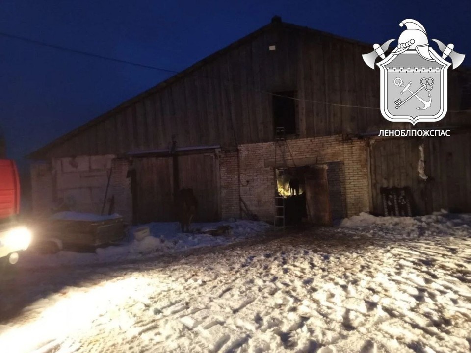    Фото: пресс-служба «Леноблпожспаса»
