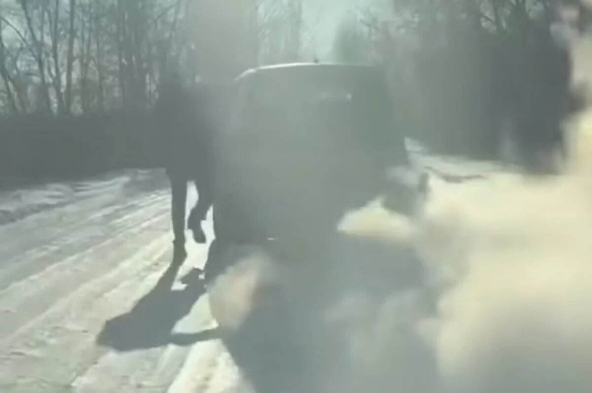    Иркутские полицейские на ходу запрыгнули в авто и задержали наркосбытчицу