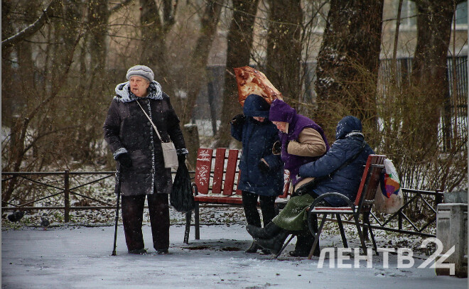    © Анастасия Илюшина / ЛенТВ24. Архивное фото