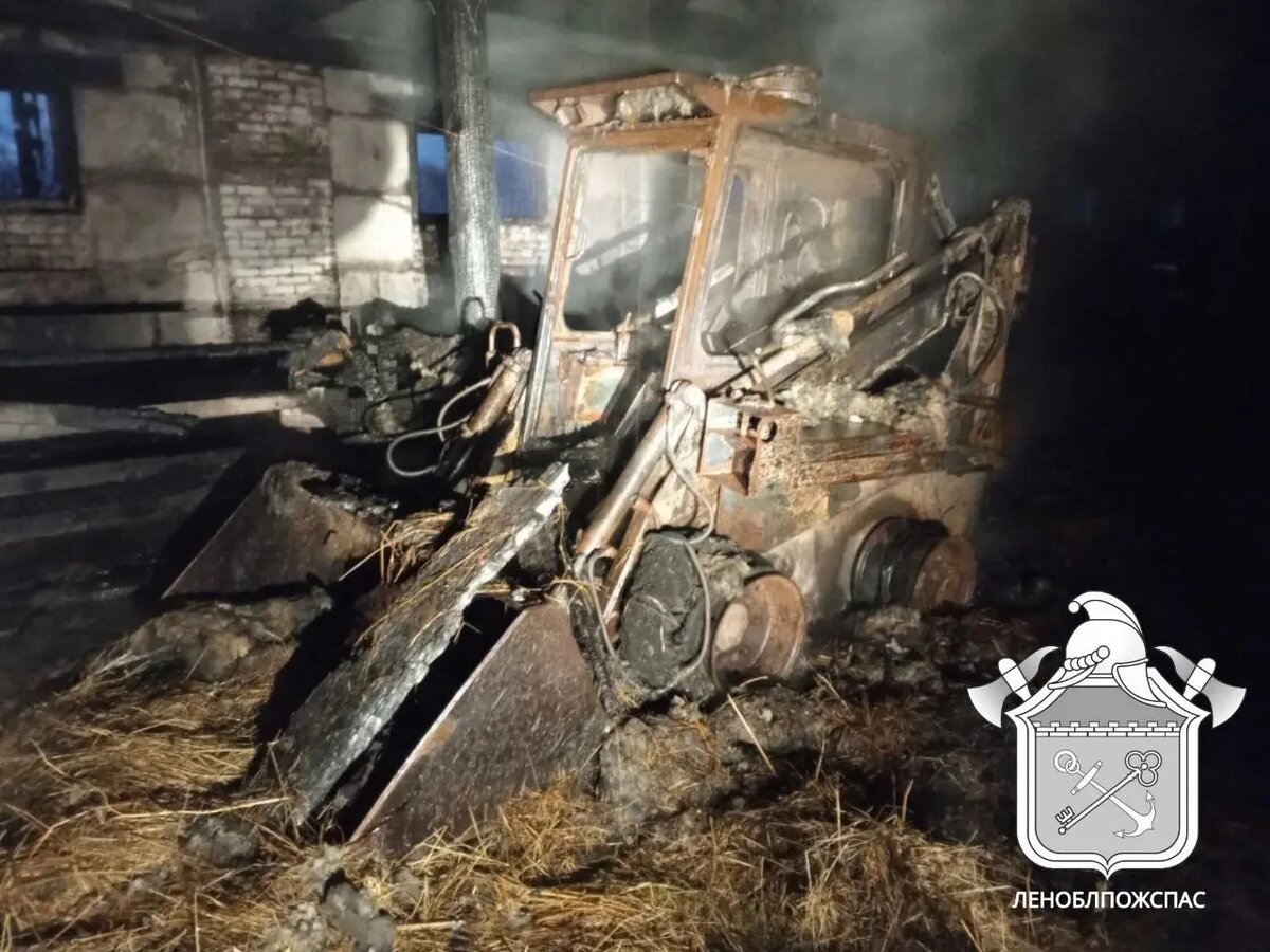    Фото: пресс-служба Леноблпожспаса