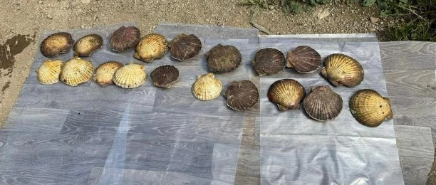 Преступная добыча браконьеров не поражает воображение / фото: УМВД России по Сахалинской области