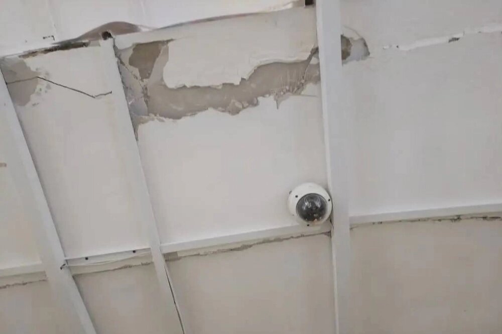    Фото: Фото читателя