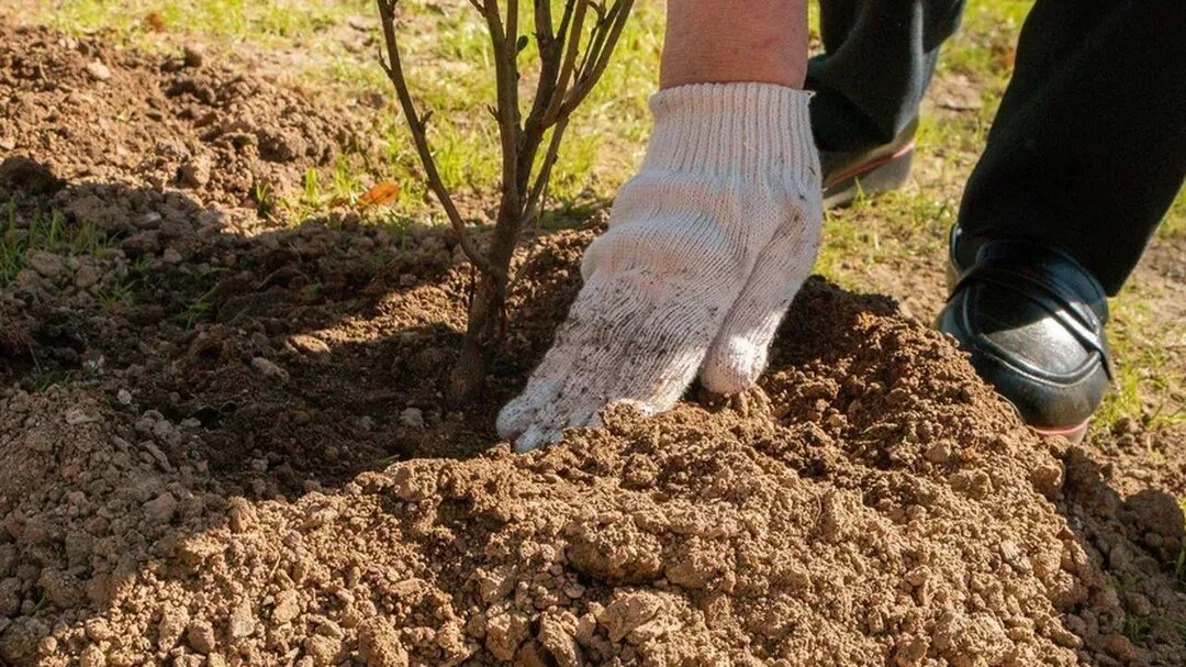 
/ Фото: REGIONS/Наталья Надточая