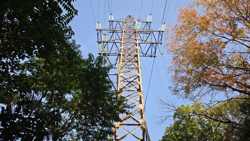      Фото: Дмитрий Ахмадуллин / / ИА «Победа26»