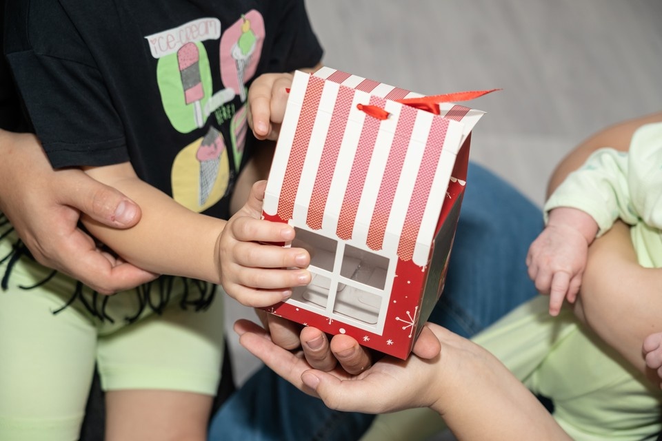    Всего в Новосибирской области более 45 тысяч многодетных семей ИВАНОВА Диана