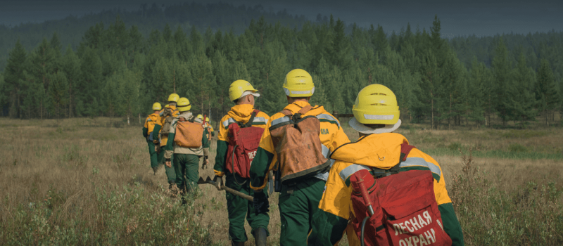    Рослесхоз РФ