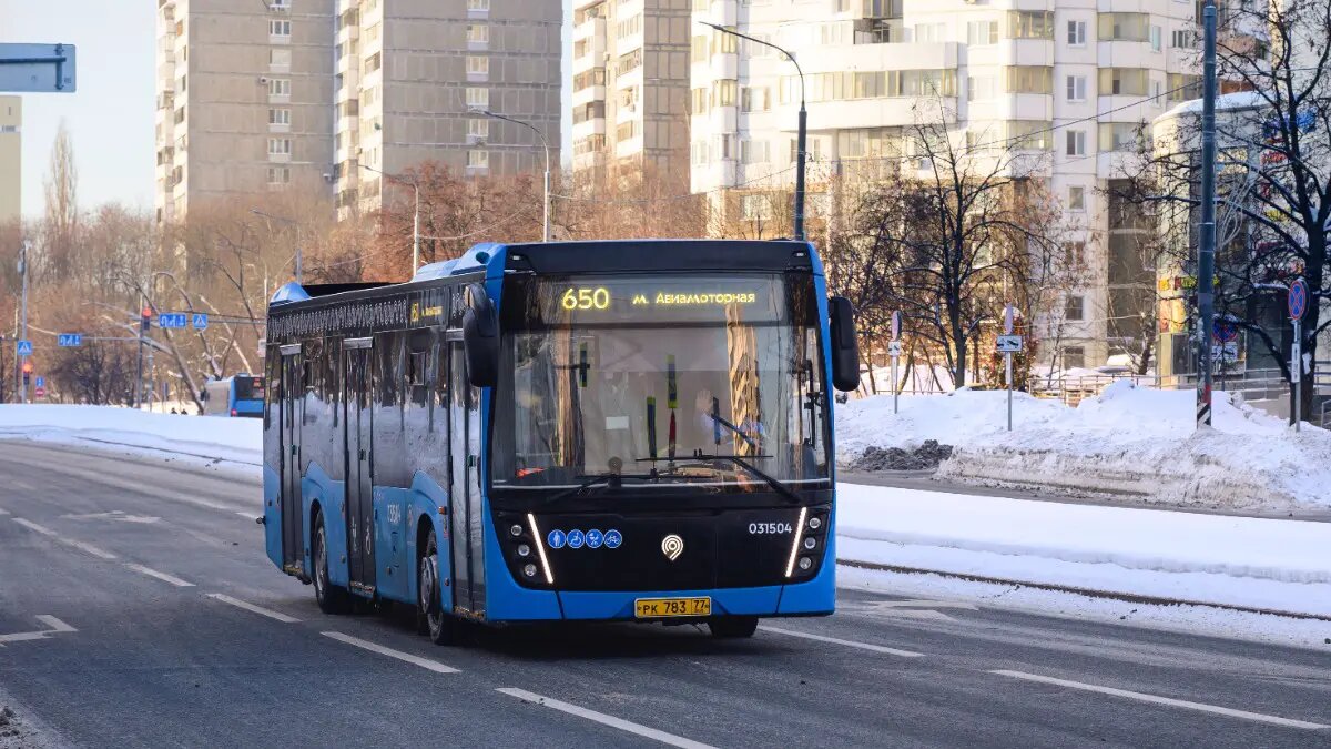    Источник: vm.ru/ Иван Гаврилов