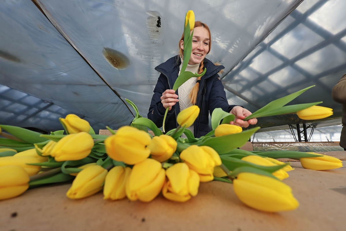    Татьяна Андреева/РГ