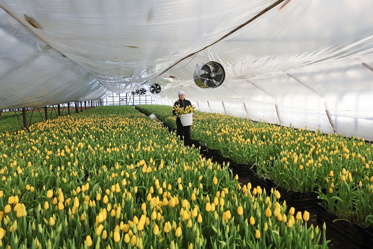    Татьяна Андреева/РГ