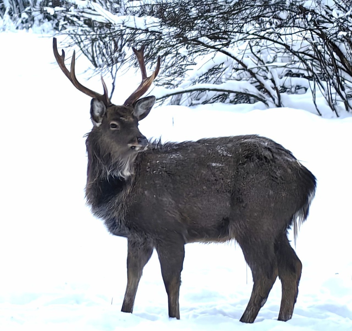 Фото: из личного архива Андрея Фадеичева
