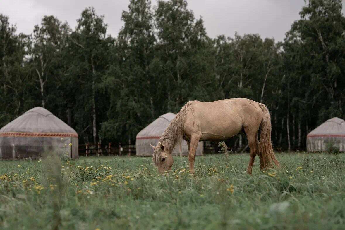 Этнопространство в Башкирии. Фото: из личного архива Дениса Умутбаева