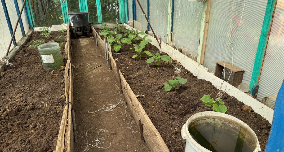    Фото: ПроГород