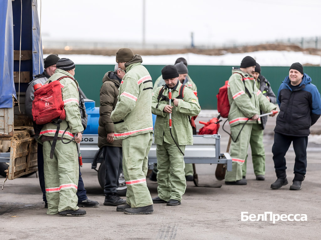     Фото: Павел Колядин