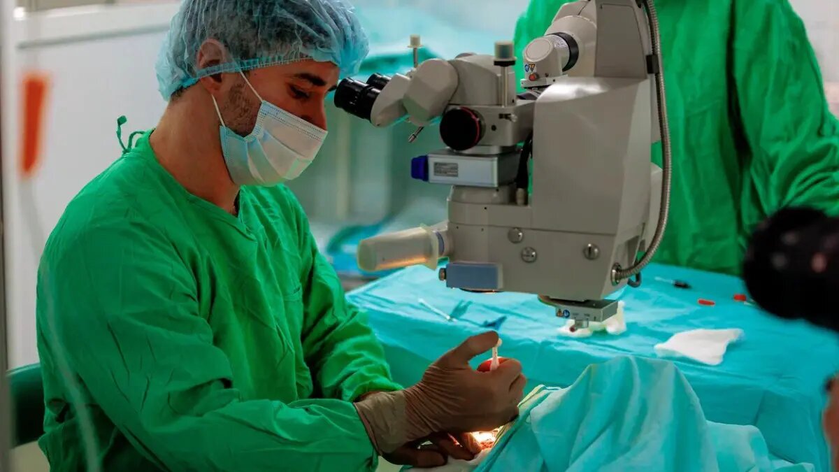    Фото: vm.ru Филипп Щербаков